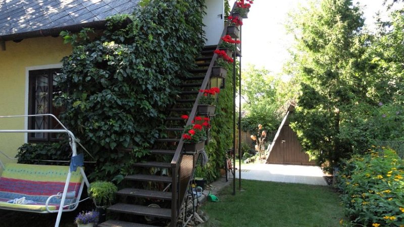 DSC00640 00.JPG - Kitört a nyár! Jöhetnek az unokák!